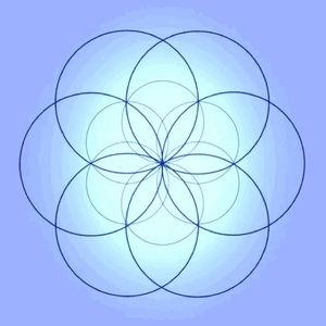 Meet your Posher, Nelly